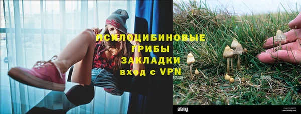 мяу мяу мука Кулебаки